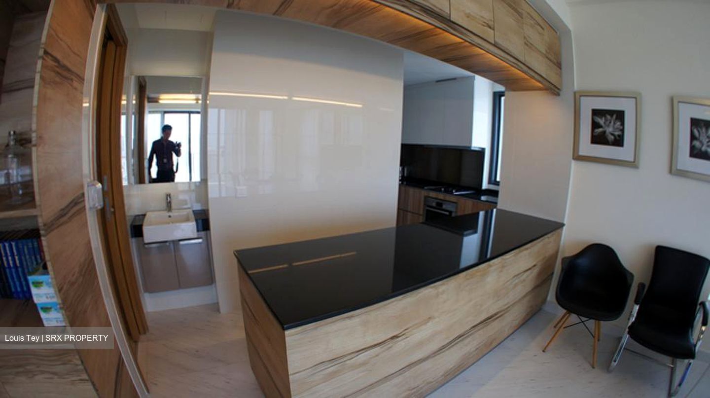 Cityscape @ Farrer Park (D8), Condominium #456514551